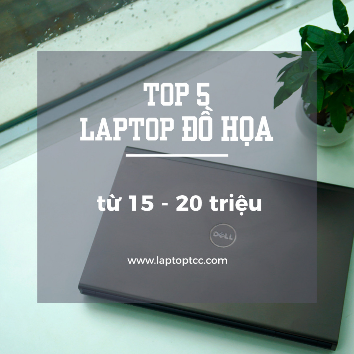 Top 5 mẫu laptop đồ họa từ 15 - 20 triệu
