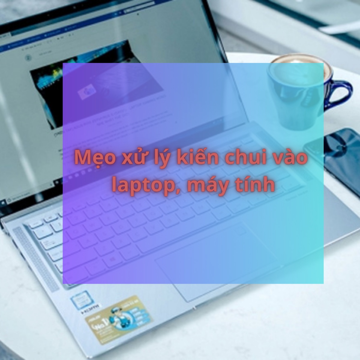 Mẹo xử lý kiến chui vào laptop, máy tính
