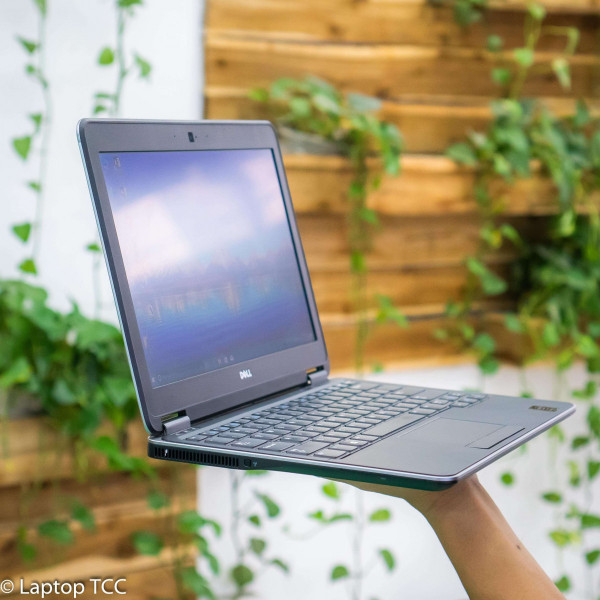 Hè Sôi Động Nhân Rộng Niềm Vui