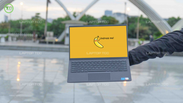 Dell Vostro 14 5410 11th