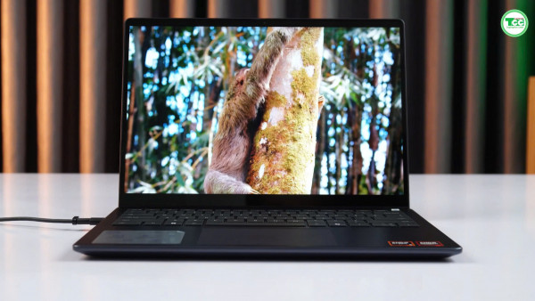 Dell Inspiron 14 7445 2-in-1 (2024) AMD Ryzen™ 5 8640HS, RAM 8GB, SSD 512GB, FHD+