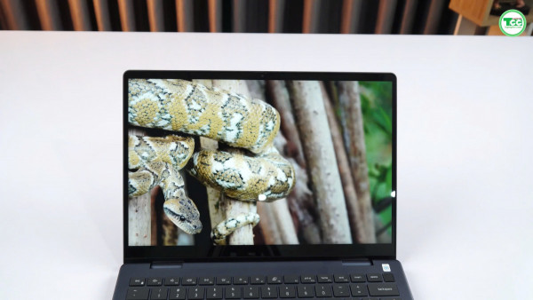 Dell Inspiron 14 7445 2-in-1 (2024) AMD Ryzen™ 7 8840HS, RAM 16GB, SSD 1TB, FHD+